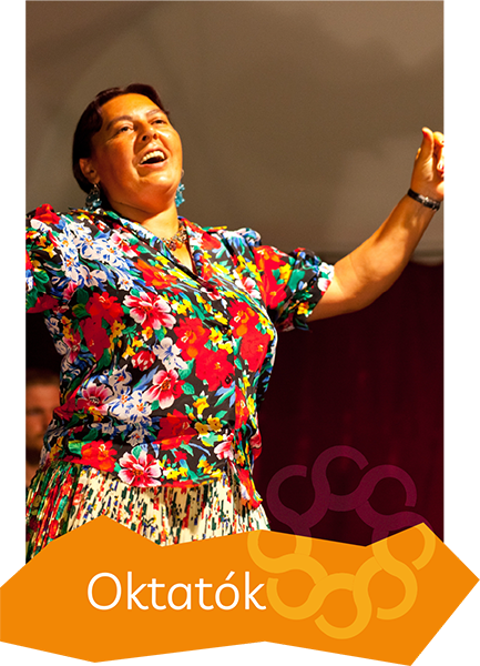 oktatok